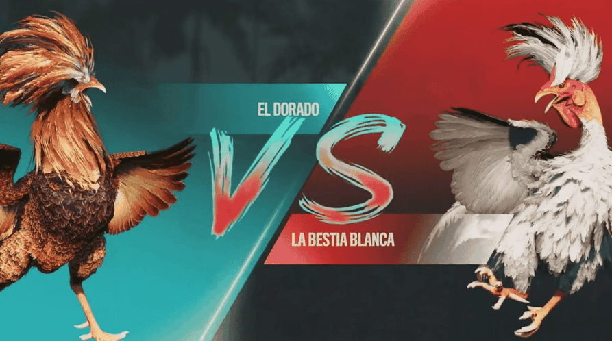 kkfeliz Login para Plataforma Slots